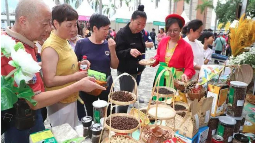 Vietnam attends cultural exchange festival in Hong Kong (China)